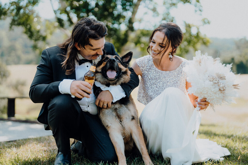 Cowbell Creek wedding dogs.